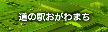 道の駅おがわまち
